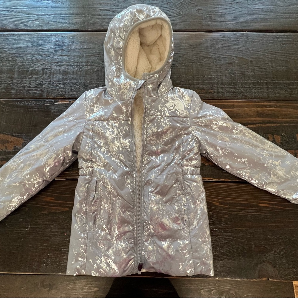 The North Face Metallic Silver Kids Puffer Jacket
